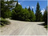 Forestry cottage Rovtarica - Forestry cottages Martinček